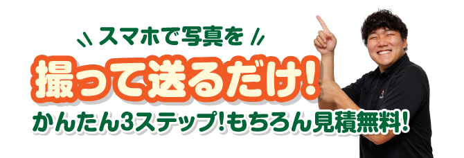 撮って送るだけ！